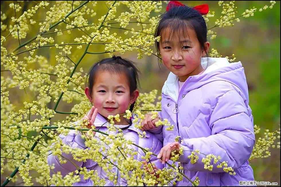 【春天,广西桂林灌阳县向您发出邀请!】米珠山前有片山苍子花在飘香 - 游山玩水 - 湖州生活社区 - 湖州28生活网 huzhou.28life.com
