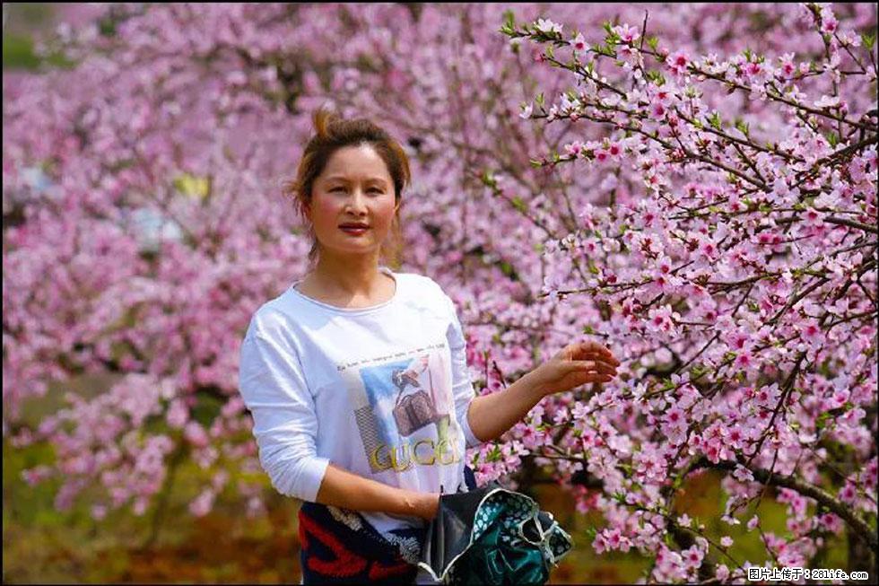 【春天,广西桂林灌阳县向您发出邀请!】官庄村有个醉美的桃花园 - 游山玩水 - 湖州生活社区 - 湖州28生活网 huzhou.28life.com