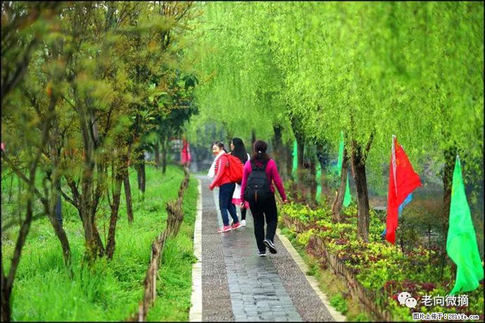 【春天,广西桂林灌阳县向您发出邀请!】江口老街又逢春 - 游山玩水 - 湖州生活社区 - 湖州28生活网 huzhou.28life.com
