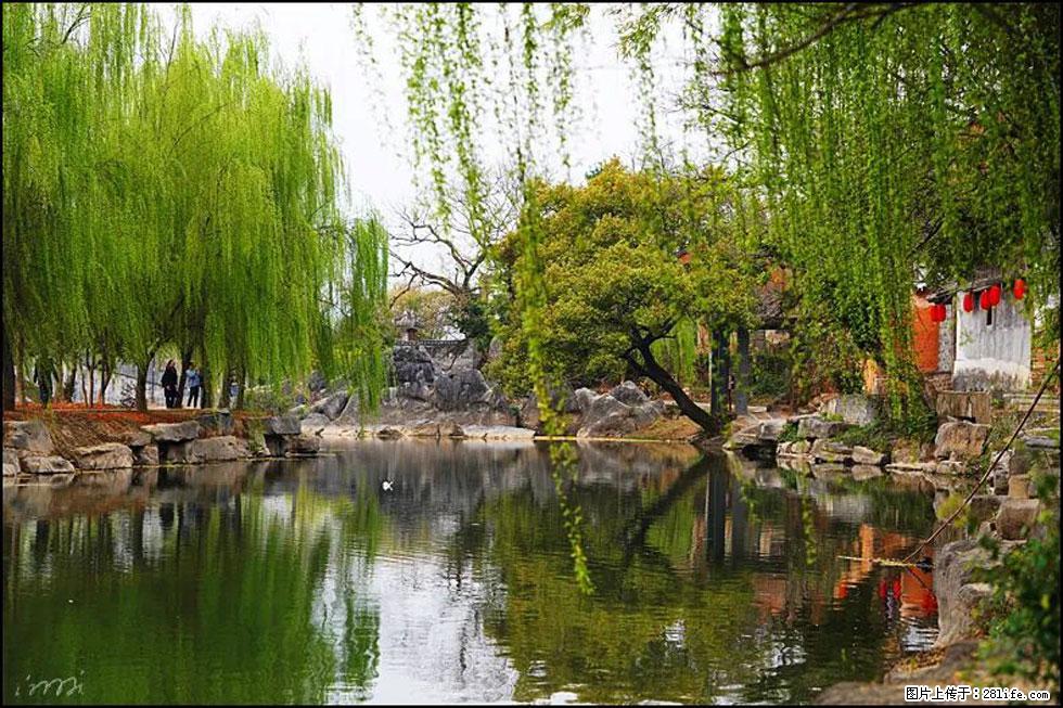 【春天,广西桂林灌阳县向您发出邀请!】江口老街又逢春 - 游山玩水 - 湖州生活社区 - 湖州28生活网 huzhou.28life.com
