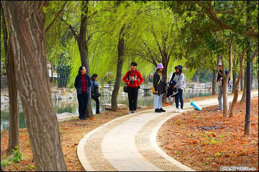 【春天,广西桂林灌阳县向您发出邀请!】江口老街又逢春 - 游山玩水 - 湖州生活社区 - 湖州28生活网 huzhou.28life.com