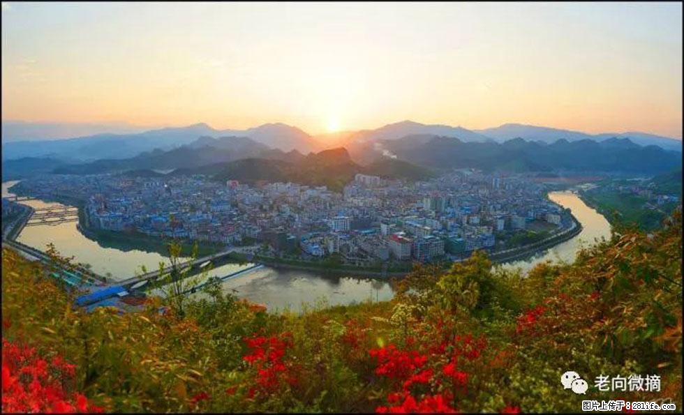 【春天,广西桂林灌阳县向您发出邀请!】登麒麟山,相约映山红 - 游山玩水 - 湖州生活社区 - 湖州28生活网 huzhou.28life.com