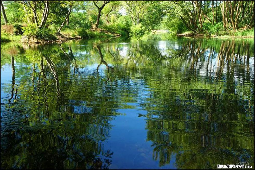 【春天,广西桂林灌阳县向您发出邀请!】熊家寨湿地公园 - 游山玩水 - 湖州生活社区 - 湖州28生活网 huzhou.28life.com