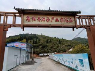 【灌阳县油茶产业示范区】一个有着充实的精神生活的人，对待身外之物自会有一种淡泊的态度 - 湖州28生活网 huzhou.28life.com