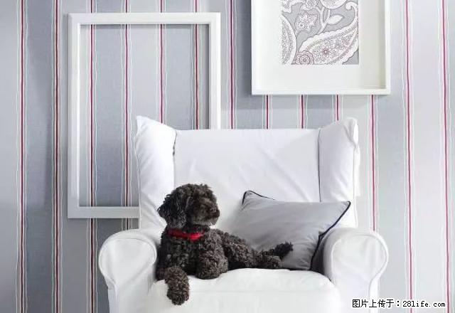 (单间出租).............................. - 房屋出租 - 房屋租售 - 湖州分类信息 - 湖州28生活网 huzhou.28life.com