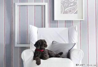 (单间出租).............................. - 湖州28生活网 huzhou.28life.com