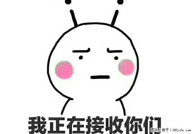 百合公寓1室1厅,6楼40平良装 - 房屋出租 - 房屋租售 - 湖州分类信息 - 湖州28生活网 huzhou.28life.com