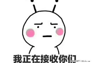 百合公寓1室1厅,6楼40平良装 - 湖州28生活网 huzhou.28life.com