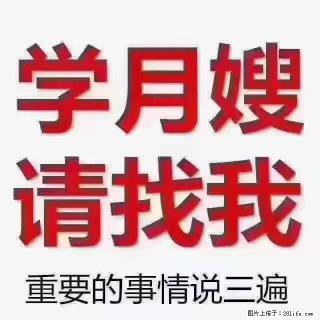 【招聘】月嫂，上海徐汇区 - 湖州28生活网 huzhou.28life.com