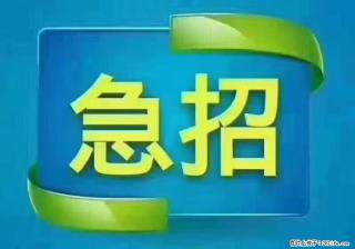 急单,上海长宁区隔离酒店招保安,急需6名,工作轻松不站岗,管吃管住工资7000/月 - 湖州28生活网 huzhou.28life.com