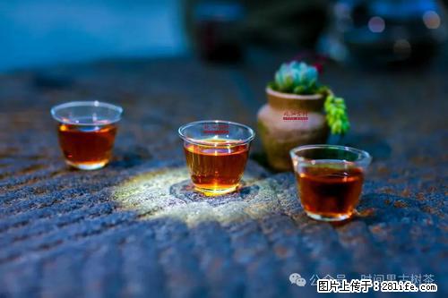 时间果百年古树2025年春红茶 - 购物交流 - 湖州生活社区 - 湖州28生活网 huzhou.28life.com