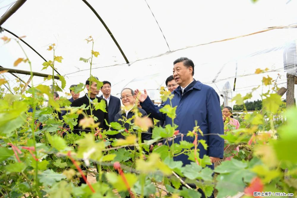 习近平赴广西考察调研 - 湖州生活资讯 - 湖州28生活网 huzhou.28life.com