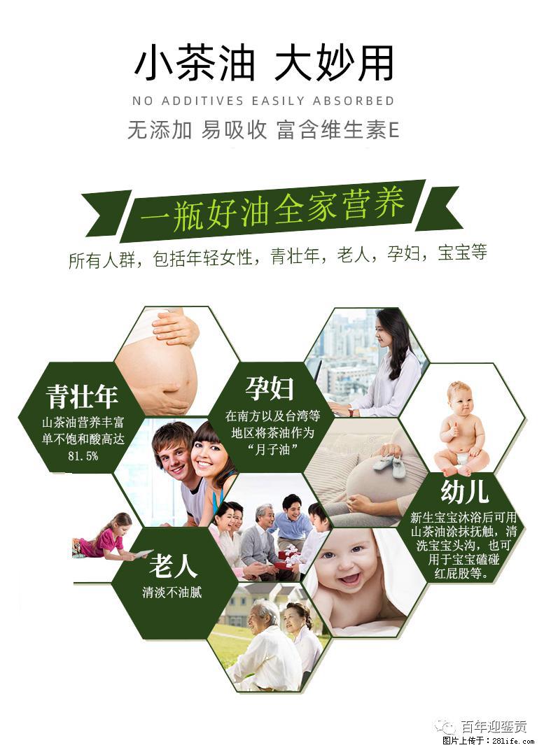 世界没有真相,只有认知,最好的食用油是中国的山茶油! - 湖州生活资讯 - 湖州28生活网 huzhou.28life.com
