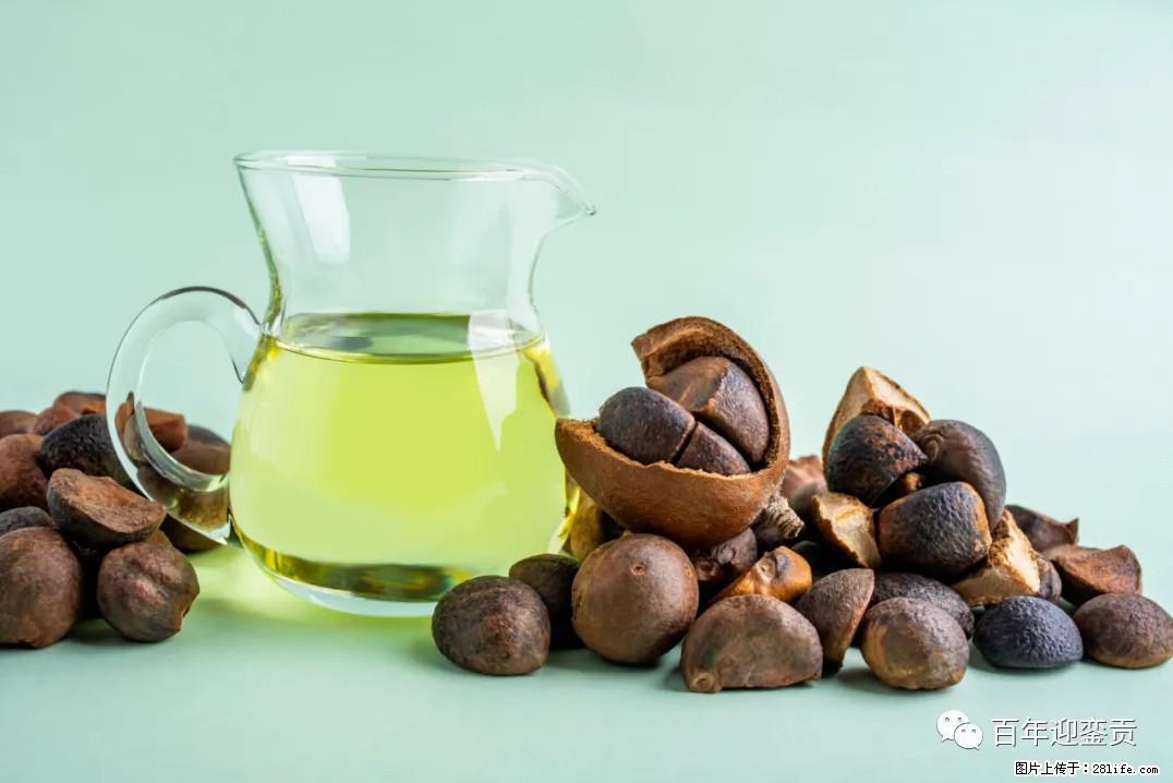 世界没有真相，只有认知，最好的食用油是中国的山茶油！ - 湖州生活资讯 - 湖州28生活网 huzhou.28life.com