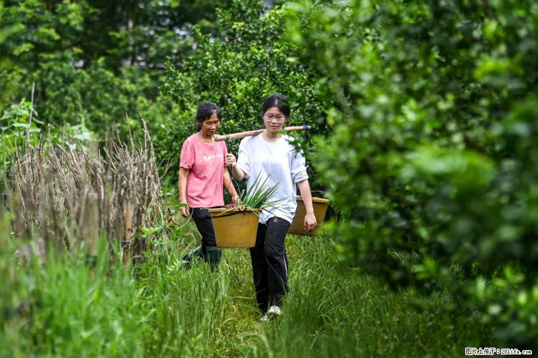 全网追的“扁担女孩”，找了一份暑假工，时薪12元 - 湖州生活资讯 - 湖州28生活网 huzhou.28life.com