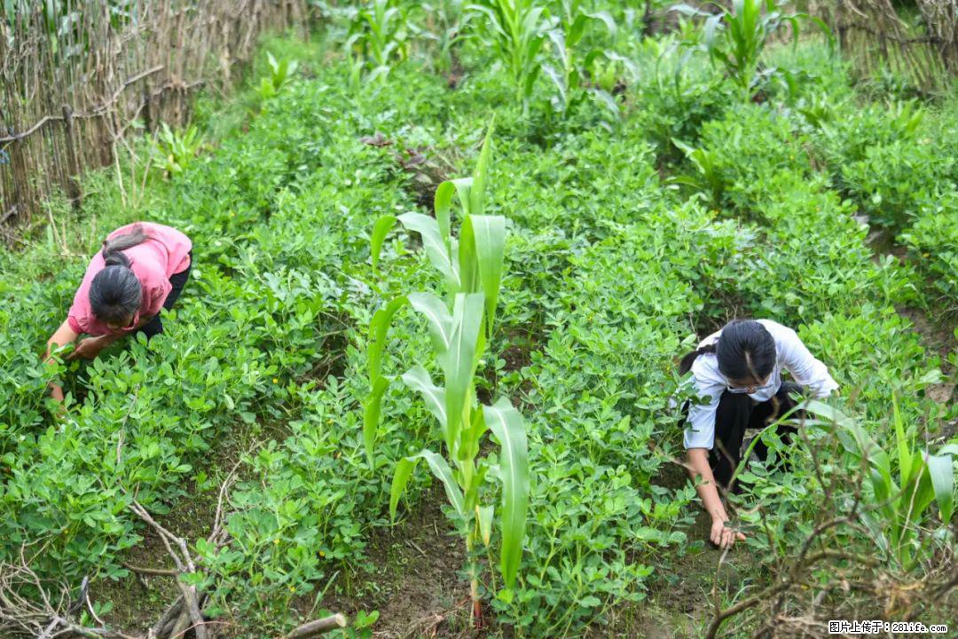 全网追的“扁担女孩”，找了一份暑假工，时薪12元 - 湖州生活资讯 - 湖州28生活网 huzhou.28life.com