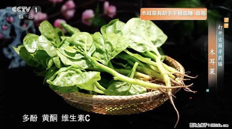 比牛奶补钙还厉害！凉血解毒、稳血糖...这菜冬天必吃，很多人却当草 - 湖州生活资讯 - 湖州28生活网 huzhou.28life.com