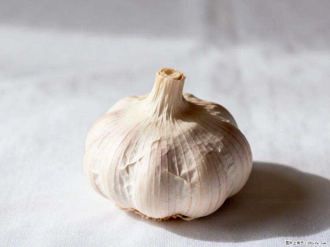 关于大蒜，除了“天然抗生素”，这4个谣言更该警惕! - 湖州生活资讯 - 湖州28生活网 huzhou.28life.com