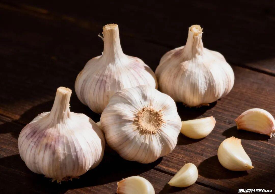 关于大蒜，除了“天然抗生素”，这4个谣言更该警惕! - 湖州生活资讯 - 湖州28生活网 huzhou.28life.com