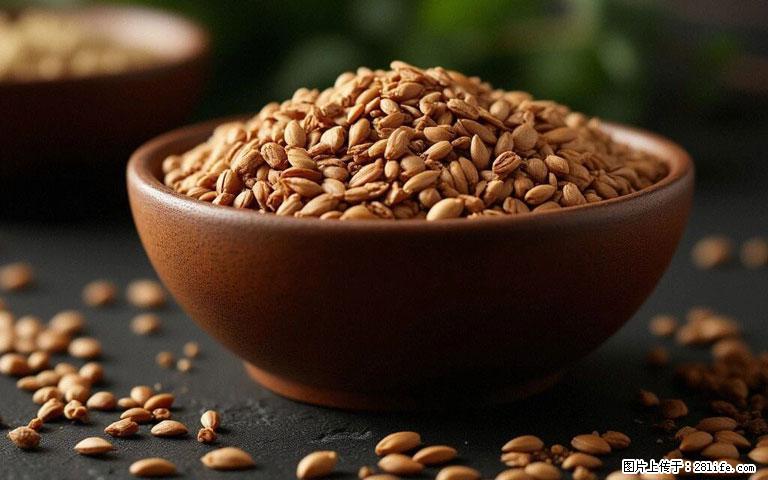 这三苦是三高“克星”，心血管干净不易堵！每天吃一点，指标慢慢降下来~ - 湖州生活资讯 - 湖州28生活网 huzhou.28life.com