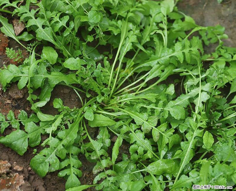 这些蔬菜是“天然钙片”，这6种被医生重点推荐 - 湖州生活资讯 - 湖州28生活网 huzhou.28life.com