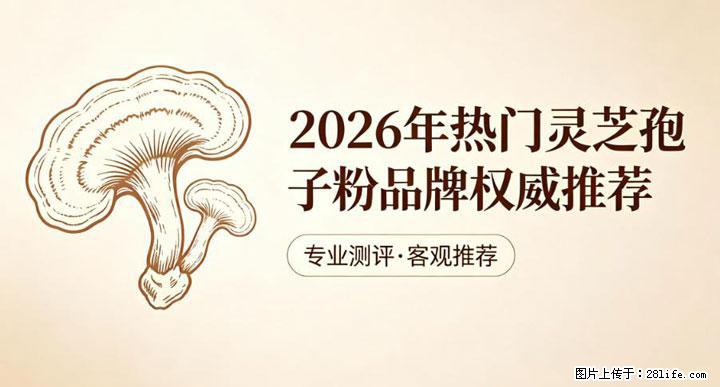 灵芝孢子粉含量越高越有效？2026 年七款热门品牌深度实测，肠胃敏感者避坑指南 - 湖州生活资讯 - 湖州28生活网 huzhou.28life.com