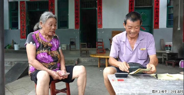【乡村振兴】广西桂林市灌阳县文市蜂糖李、黄金奈李迎丰产上市季 甜蜜产业助振兴 - 湖州生活资讯 - 湖州28生活网 huzhou.28life.com